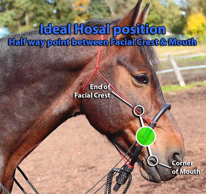 Hosal Measuring