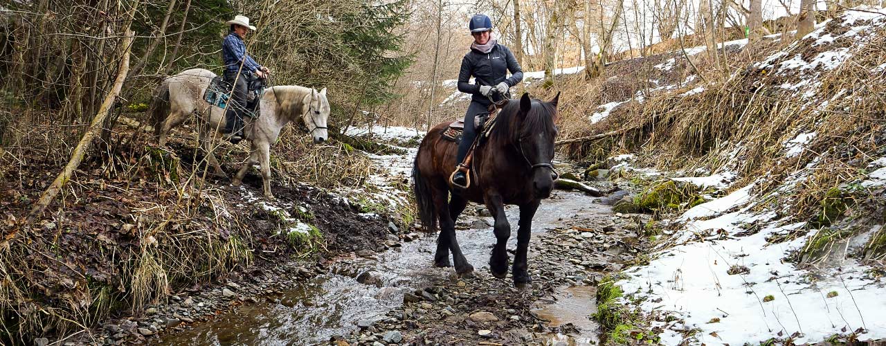 header-fearless-riding-school-1 header fearless trail rides 1 mobile