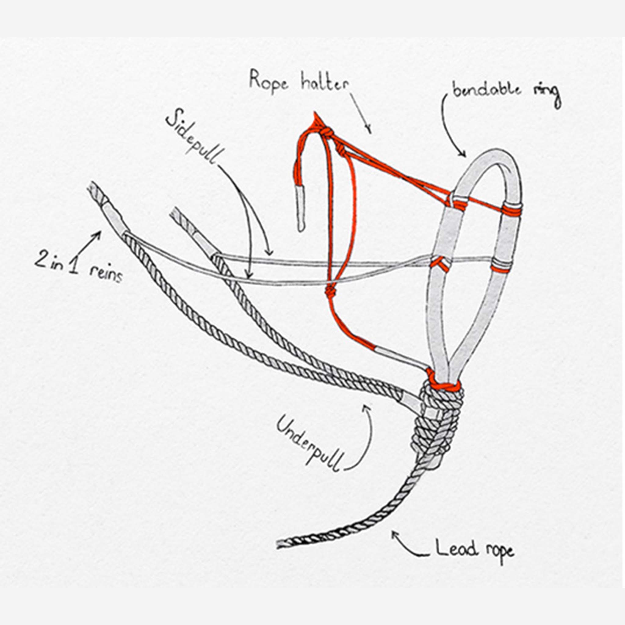 Fearless Hosal - Bitless Riding Halter